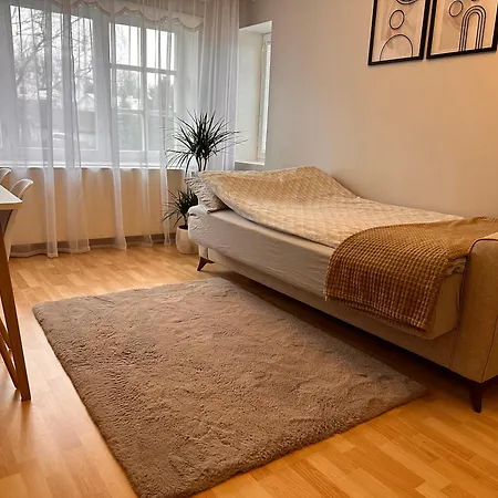 Cosy Flat Near Castle 아파트